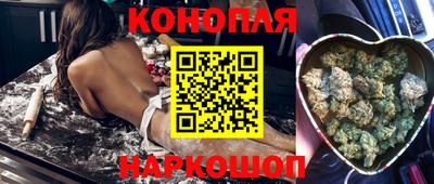 гидра Краснознаменск