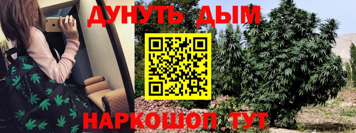 МАРИХУАНА гибрид  Вход с VPN  Марихуана LSD WEED  Кемерово  МАРИХУАНА MAZAR  Бошки марихуана семена 